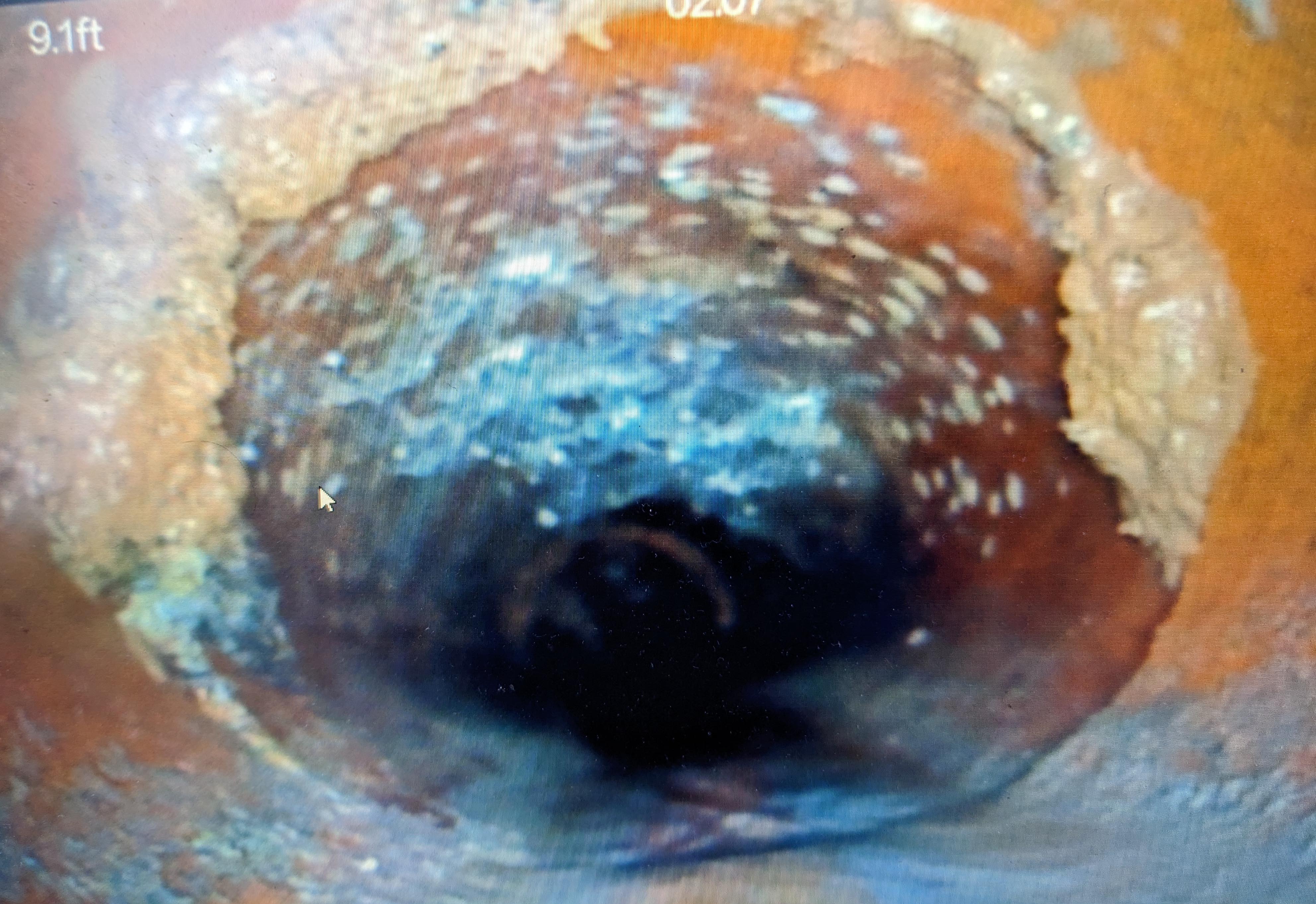 Root intrusion in cast iron sewer line